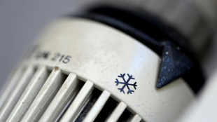 Kabinett beschlie&szlig;t Einmalzahlung im Dezember f&uuml;r Gaskunden