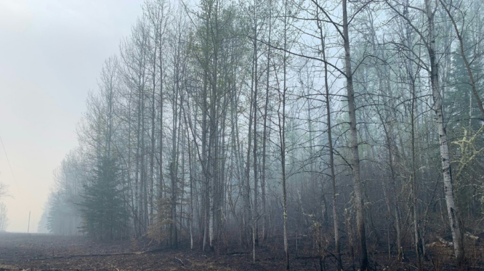 El denso humo en Canadá asfixia, pero enfría incendios al tapar el sol