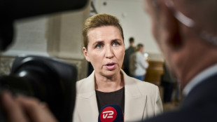 Dinamarca prohibir&aacute; las redes sociales a los menores de 15 a&ntilde;os
