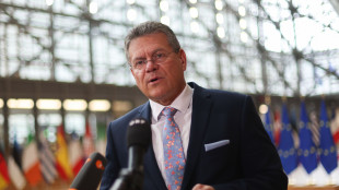 Ue, incontro Sefcovic-Greer sui dazi mercoled&igrave; a Parigi