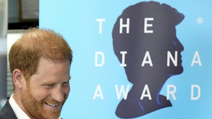 Pr&iacute;ncipe Harry e a fam&iacute;lia real brit&acirc;nica, um quinqu&ecirc;nio de disputas