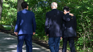 Pour Biden, multiplier les alliances diplomatiques malgr&eacute; les incertitudes