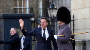 Rutte, 'l'Europa faccia di pi&ugrave; per Kiev e per la difesa'