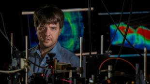 Uno de los ganadores del Nobel de Medicina 2026 espera arrojar luces sobre el cerebro