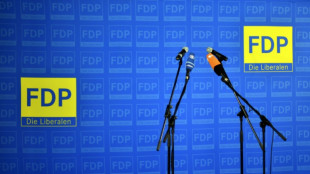 FDP will sich mit K&uuml;nstlicher Intelligenz neu profilieren