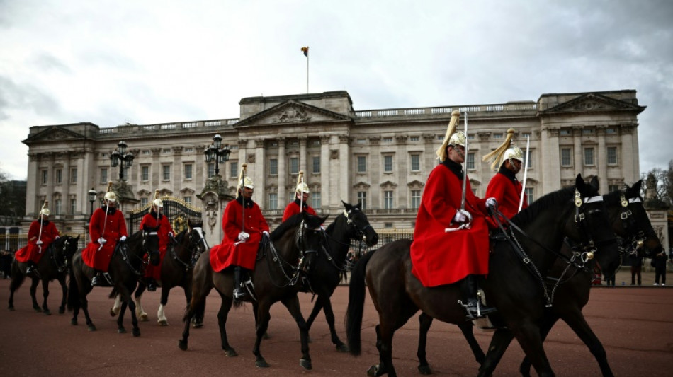 Dos de los caballos que se escaparon en el centro de Londres est&aacute;n graves