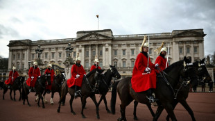 Durchgegangene Armee-Pferde verletzen vier Menschen im Zentrum von London