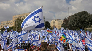 Argwohn und Skepsis nach angekündigter "Pause" für Justizreform in Israel 