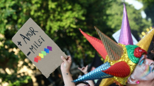 Milhares marcham na Argentina por direitos LGBTQ e contra pol&iacute;ticas de Milei