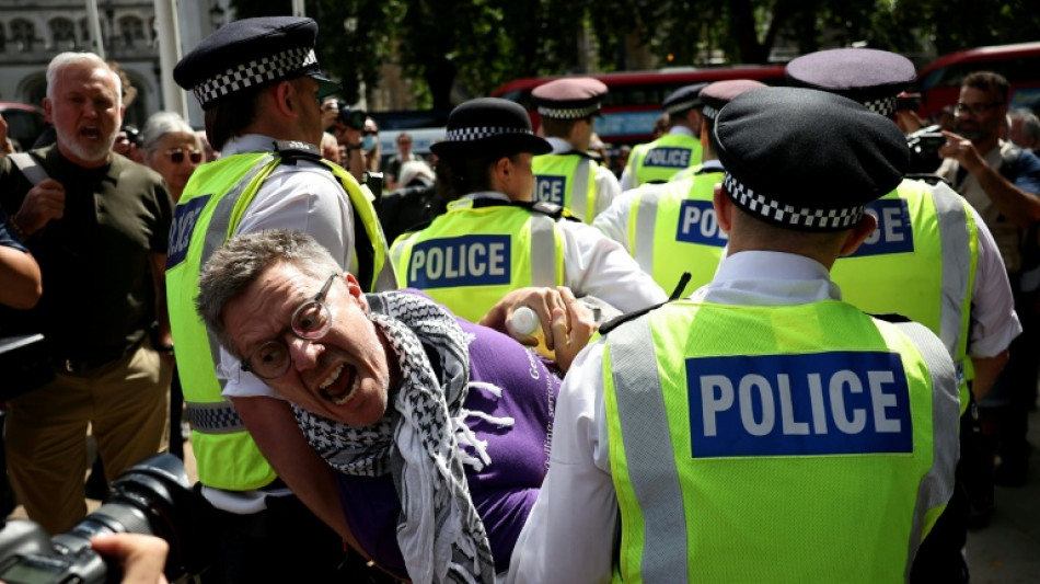 Mehr als 360 Festnahmen bei Protest f&uuml;r verbotene pro-pal&auml;stinensische Gruppe in London