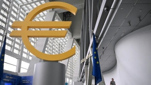 La BCE vers une pause estivale sur les taux, &agrave; l'affut des surtaxes am&eacute;ricaines 