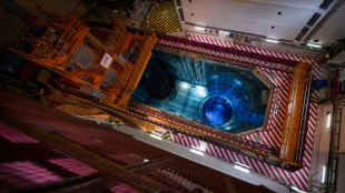 Pour relancer le nucléaire, le secteur doit résoudre le casse-tête du financement