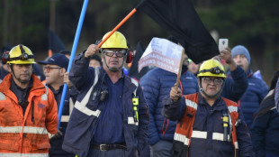 Maior siderúrgica do Chile anuncia retomada de operações