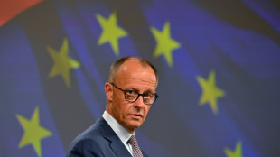 Merz hat "gro&szlig;e Hoffnung" auf baldige Vereinbarung einer Waffenruhe in der Ukraine