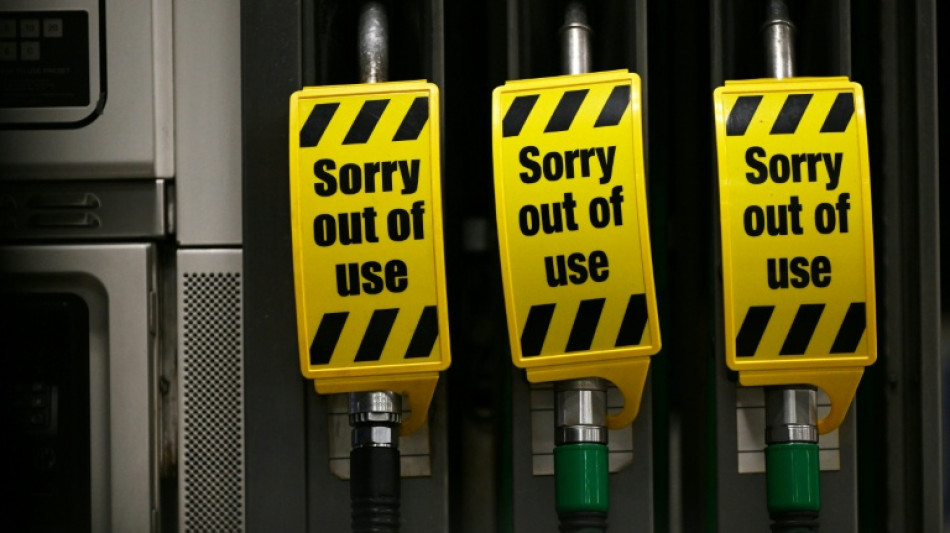 IEA to launch largest-ever release of oil reserves 