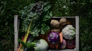 Les agriculteurs bio dénoncent un "hold-up" sur leurs aides