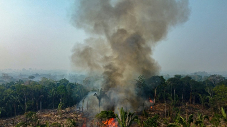 Brasil registra recorde de incêndios florestais entre janeiro e abril