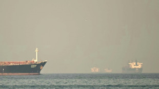 Ships brandish China-links to weave through Strait of Hormuz