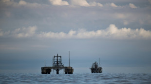 Acuerdo petrolero con EEUU servir&iacute;a a Venezuela ante sanciones a Rusia, dice experto