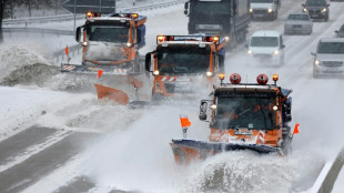 Deutschland r&uuml;stet sich f&uuml;r Schneefront - Schulausf&auml;lle und t&ouml;dliche Unf&auml;lle