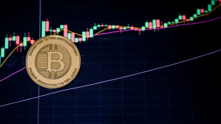 Le bitcoin bat un nouveau record et d&eacute;passe les 125.000 dollars&nbsp; 