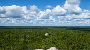 Scoperta nella foresta un'enorme citt&agrave; Maya in Messico