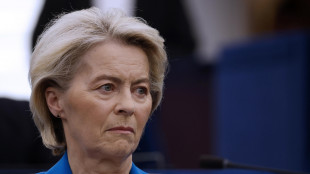 Von der Leyen, 'massiccio aumento di investimenti Ue in Groenlandia'