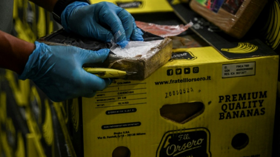 Ermittler in Brandenburg finden 1,2 Tonnen Kokain unter Bananen