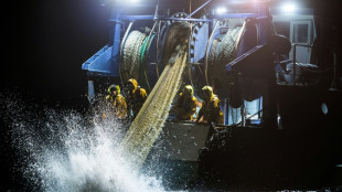 Global data declaration targets illegal fishing