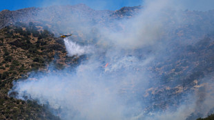 Gr&egrave;ce : nouvel incendie pr&egrave;s d'Ath&egrave;nes