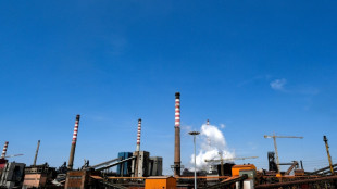 En Europe, la vieille industrie de l'acier bousculée par le climat et la guerre