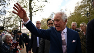 Devant Buckingham, la f&ecirc;te a d&eacute;j&agrave; commenc&eacute;