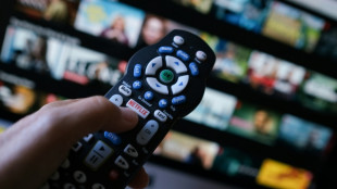 Coup de frein &agrave; la rentabilit&eacute; insolente de Netflix malgr&eacute; une croissance ininterrompue
