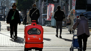 Jap&oacute;n lanza robots de entrega "humildes y adorables"