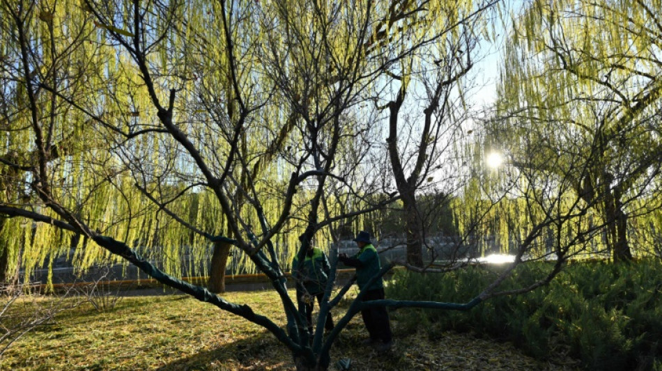 China reporta su oto&ntilde;o m&aacute;s c&aacute;lido desde que se llevan registros