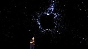 Apple: les b&eacute;n&eacute;fices trimestriels conformes aux attentes mais les ventes d'iPhone d&eacute;&ccedil;oivent