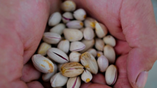 De vi&ntilde;edos a pistacheros: una transici&oacute;n obligada en Francia por el calor y el menor consumo de vino