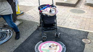 Japanese dog of 'Doge' meme fame dies