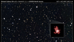 James-Webb-Weltraumteleskop entdeckt ältestes bisher bekanntes Schwarzes Loch