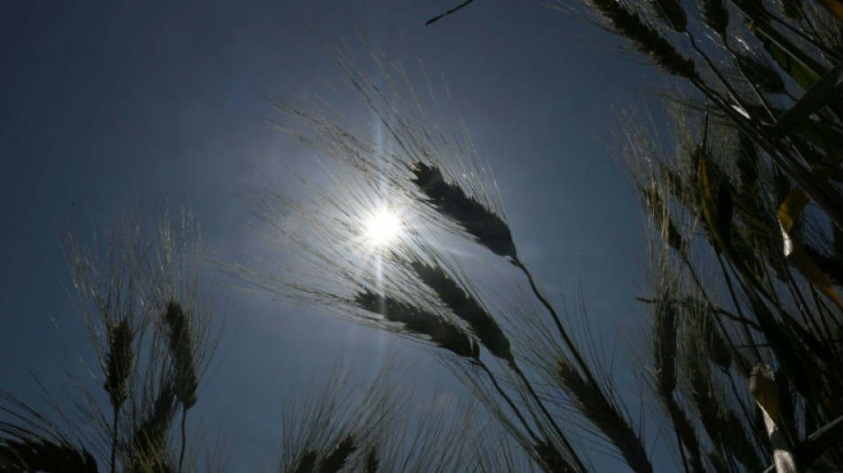Un nouvel &eacute;pisode de canicule d&eacute;bute lundi dans le sud de la France