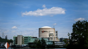 Suisse : la plus vieille centrale nucl&eacute;aire d'Europe fermera en 2033