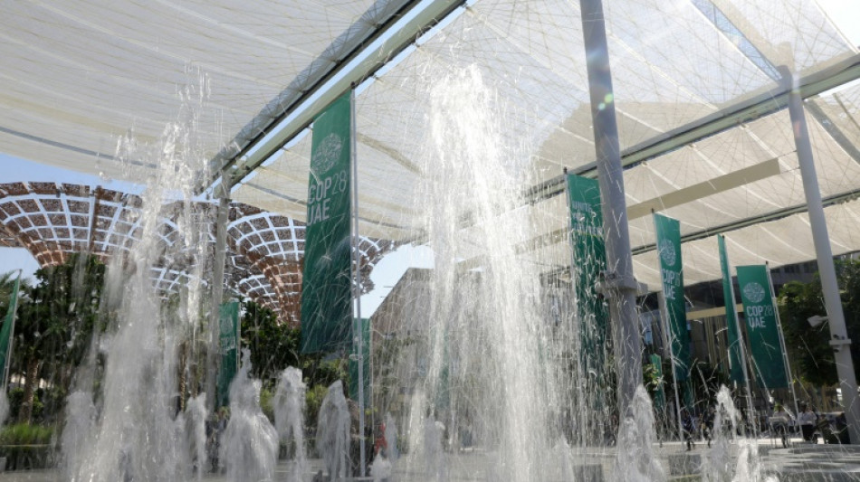 Minister: Einigung auf Aserbaidschan als Gastgeber der n&auml;chsten UN-Klimakonferenz