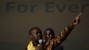 Zimbabwe: Nelson Chamisa, le "jeune" pasteur qui veut cr&eacute;er la surprise
