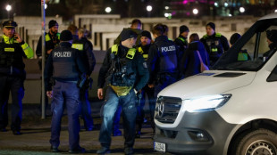 Un Espagnol bless&eacute; au M&eacute;morial de l'Holocauste &agrave; Berlin, 
le suspect arr&ecirc;t&eacute;