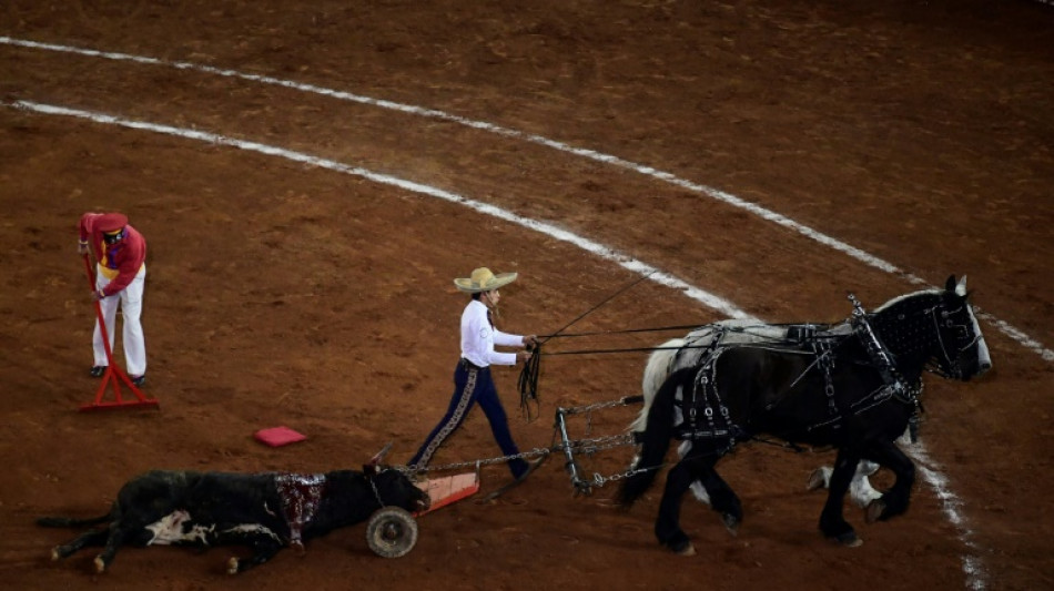 Juez suspende indefinidamente las corridas de toros en mayor plaza de M&eacute;xico