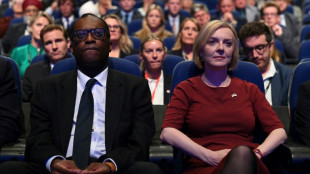 Reino Unido no prev&eacute; medidas de ahorro energ&eacute;tico pese al riesgo de apagones