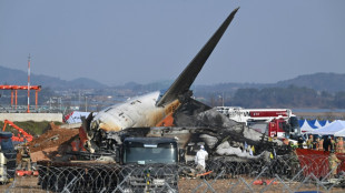 Investigadores de avi&atilde;o que caiu na Coreia do Sul encontram penas nos motores
