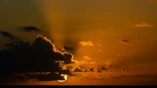 Espoirs et incertitudes autour des futures aires prot&eacute;g&eacute;es en haute mer