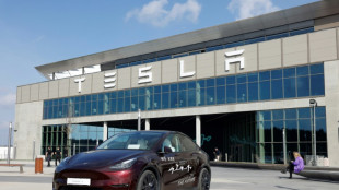 Tesla-Gewinn bricht ein - Günstigere Modelle sollen rascher kommen