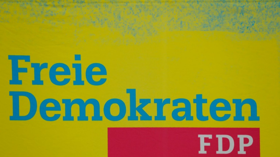FDP Baden-W&uuml;rttemberg k&uuml;rt Landeschef R&uuml;lke zu Spitzenkandidat f&uuml;r Landtagswahl